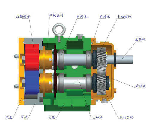 凸輪轉(zhuǎn)子泵產(chǎn)品特點(diǎn)和工作原理